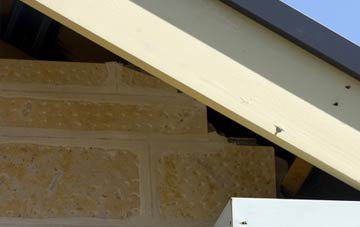 soffit repair Widegates